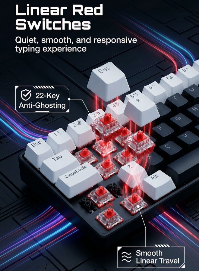 AOR Esports لوحة مفاتيح، لوحة مفاتيح للألعاب، محاور حمراء، مفاتيح عربية، لوحة مفاتيح عربية، تأثير إضاءة متدرج RGB بــ12 نمط، واجهة Type-C، تصميم لوحة مفاتيح مضغوط بـ61 مفتاح، لوحة مفاتيح سلكية، لوحة مفاتيح سوداء - Image 4
